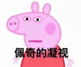 佩奇吃瓜游戏,一场欢乐的夏日狂欢盛宴