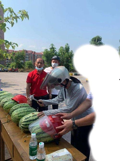 邯郸最新吃瓜事件,真相与争议交织的幕后故事