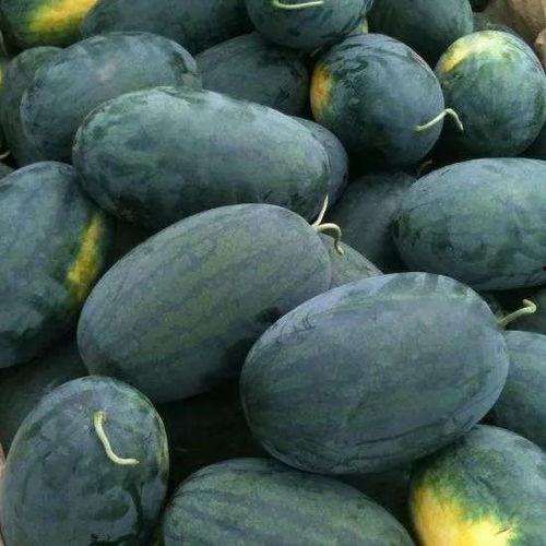 武汉媒体吃瓜事件,揭秘网络舆论场中的真相与争议