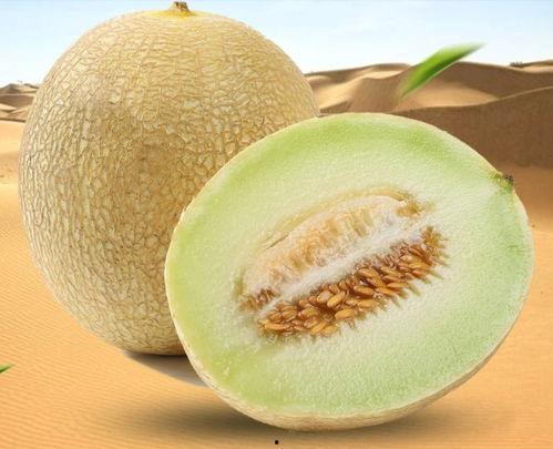 吃口小蜜瓜,甜蜜滋味尽享时光