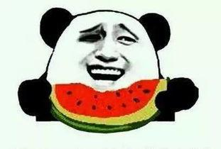 坏空空吃瓜视频,网络热梗背后的故事与影响