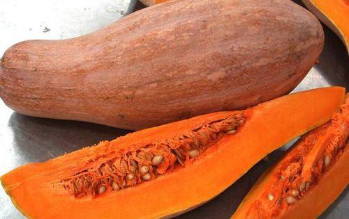 吃茄瓜对人有什么好处吗,健康饮食新选择