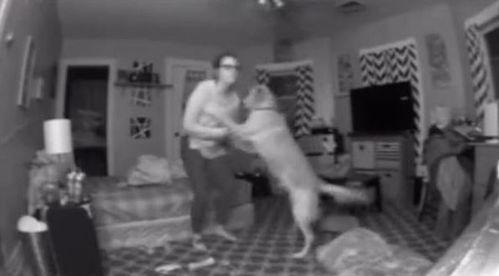 英国吃瓜喝醉视频,吃瓜喝醉视频引发热议