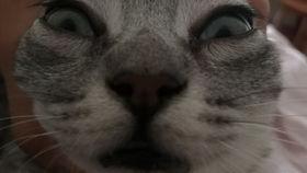 小宝吃瓜大战,一场爆笑的美食盛宴