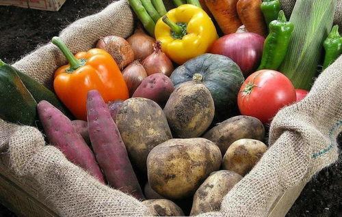 美国留子吃瓜,揭秘留学生活背后的酸甜苦辣