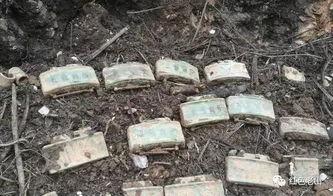 哈尔滨排雷大队吃瓜,瓜田里的守护者，雷霆行动背后的故事