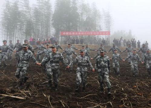 哈尔滨排雷大队吃瓜,瓜田里的守护者，雷霆行动背后的故事