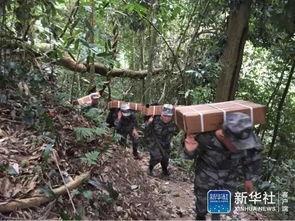 哈尔滨排雷大队吃瓜,瓜田里的守护者，雷霆行动背后的故事