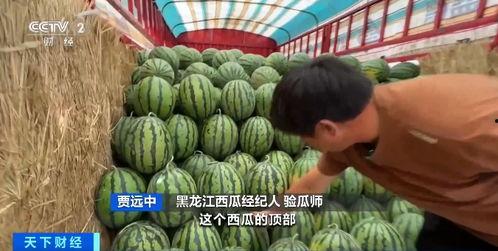 部队吃瓜,揭秘部队的饮食文化