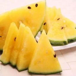 陪同你吃瓜,揭秘娱乐圈幕后风云