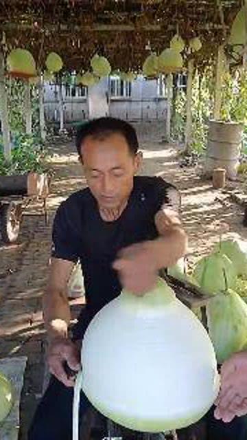 岛哥吃瓜,揭秘娱乐圈那些不为人知的幕后故事