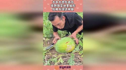 岛哥吃瓜,揭秘娱乐圈那些不为人知的幕后故事