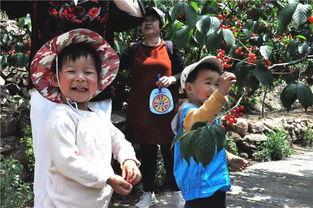 吃树瓜山歌,探寻民间音乐的绿色宝藏