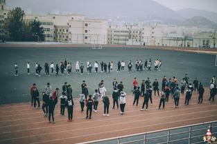 至诚学院操场吃瓜,校园生活趣味盎然”