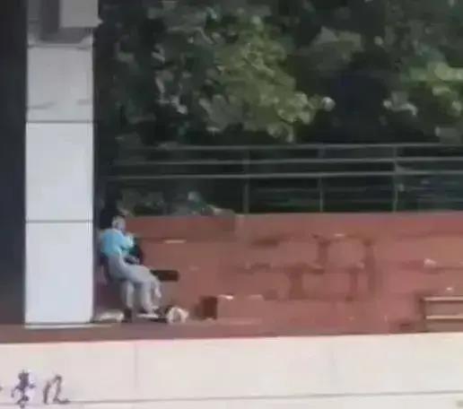 至诚学院操场吃瓜,校园生活趣味盎然”