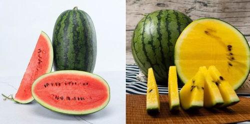 228540吃瓜群,揭秘网络社交圈的趣味与争议