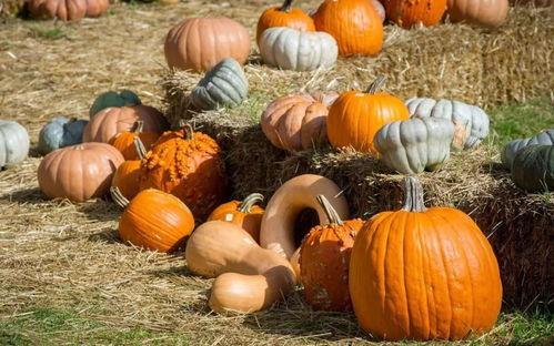 烘焙群吃瓜群众,揭秘烘焙圈的那些事儿