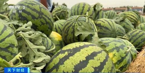 全网吃瓜爆料西昌,揭秘全网热议的神秘事件