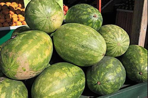 全网吃瓜爆料西昌,揭秘全网热议的神秘事件