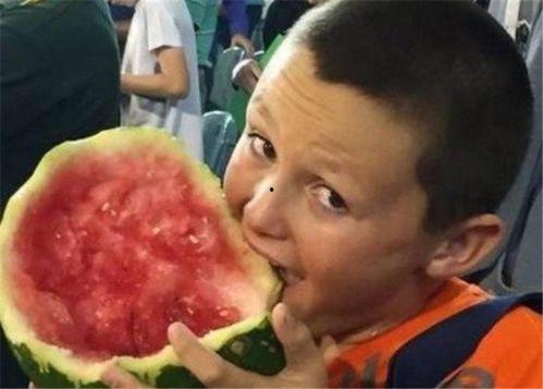 老外到新疆吃瓜,老外眼中的甜蜜之旅