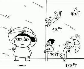 台风吃瓜吃到自己,一场意外引发的趣味风暴