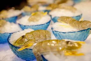 厦门东海吃瓜,夏日吃瓜盛宴，尽享海滨悠闲时光