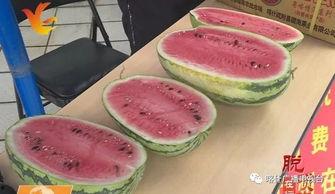 广州吃瓜的视频,一场吃瓜群众的味蕾盛宴