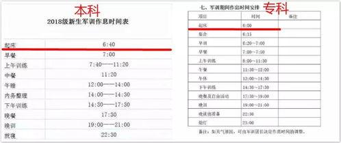 师妹吃瓜人,揭秘校园八卦风云