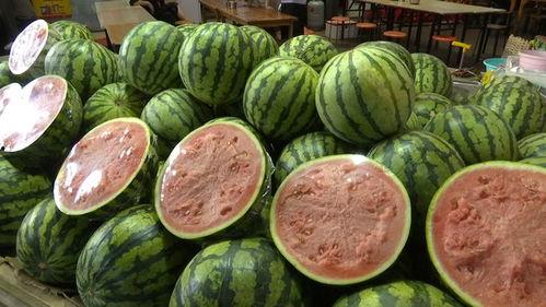 吃瓜报价,揭秘明星网红的“瓜价”真相