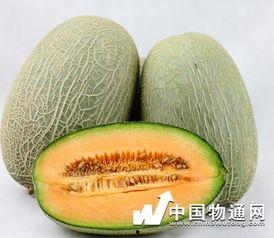 哈密瓜和牛肉一起吃吗