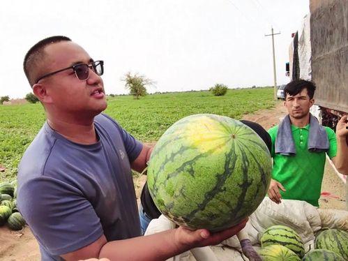 微山吃瓜新闻事件