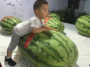 溧阳吃瓜群众事件