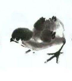 小鸡吃瓜国画,国画风中的田园诗意