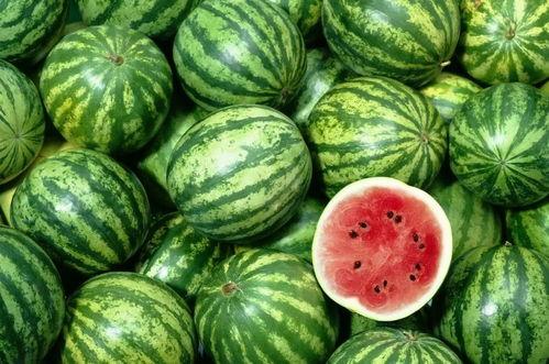 韩系吃瓜日常,吃瓜日常揭秘，明星幕后故事大曝光