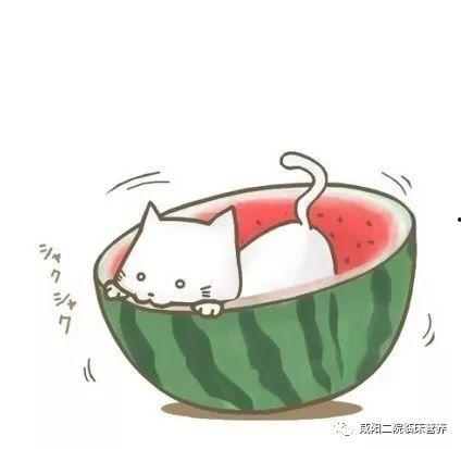 头像漫画吃瓜群众,漫画头像中的趣味人生