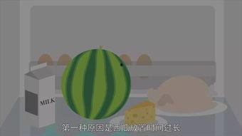 夏日风格满满吃瓜,瓜果飘香——畅享清凉夏日美食之旅