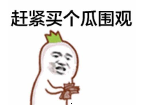 自爆吃瓜群众视频真实,揭秘网络视频背后的真实故事