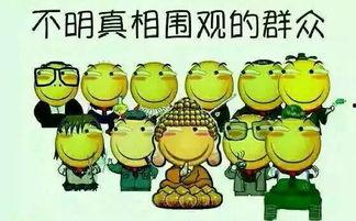 吃瓜并不容易吃瓜的说说,那些隐藏在吃瓜背后的故事与真相