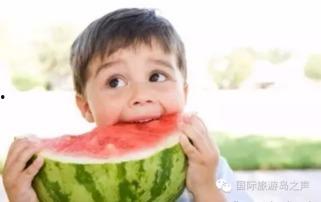 吃瓜并不容易吃瓜的说说,那些隐藏在吃瓜背后的故事与真相