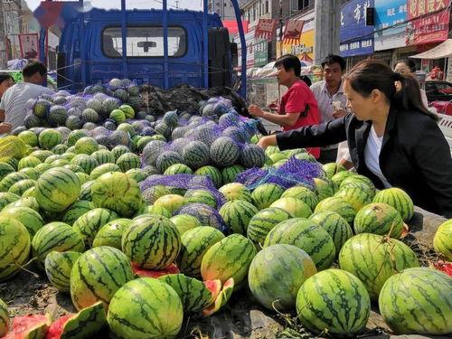 吃瓜如何搬运,瓜友必备的搬运攻略