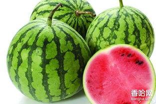 经期可以吃生瓜,生瓜的适宜与禁忌