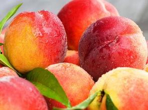 女人梦见吃蒲瓜,女人梦中品味蒲瓜的神秘寓意