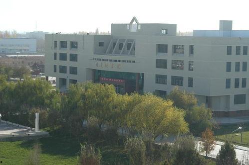 石河子大学吃瓜,吃瓜群众的味蕾盛宴