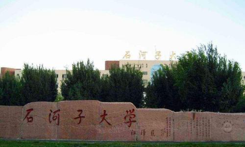 石河子大学吃瓜,吃瓜群众的味蕾盛宴