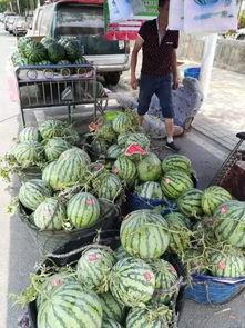 临沂吃瓜网红事件