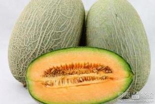 猫咪会吃哈密瓜不会吃