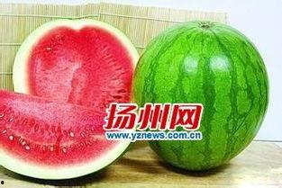 吃瓜把瓜吃到没红瓤了,吃瓜达人挑战极限，瓜瓤尽失