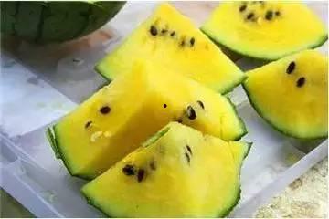 吃瓜把瓜吃到没红瓤了,吃瓜达人挑战极限，瓜瓤尽失