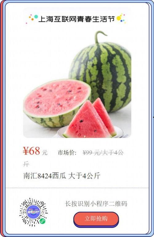 上海和浙江吃瓜,一场别开生面的吃瓜盛宴