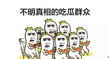 线下吃瓜群众,揭秘娱乐圈幕后故事
